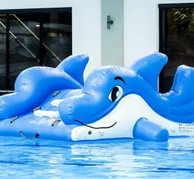 WG1-007 Jogo de piscina de parque de esportes aquáticos inflável de golfinho