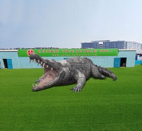 S4-539 Crocodilo inflável